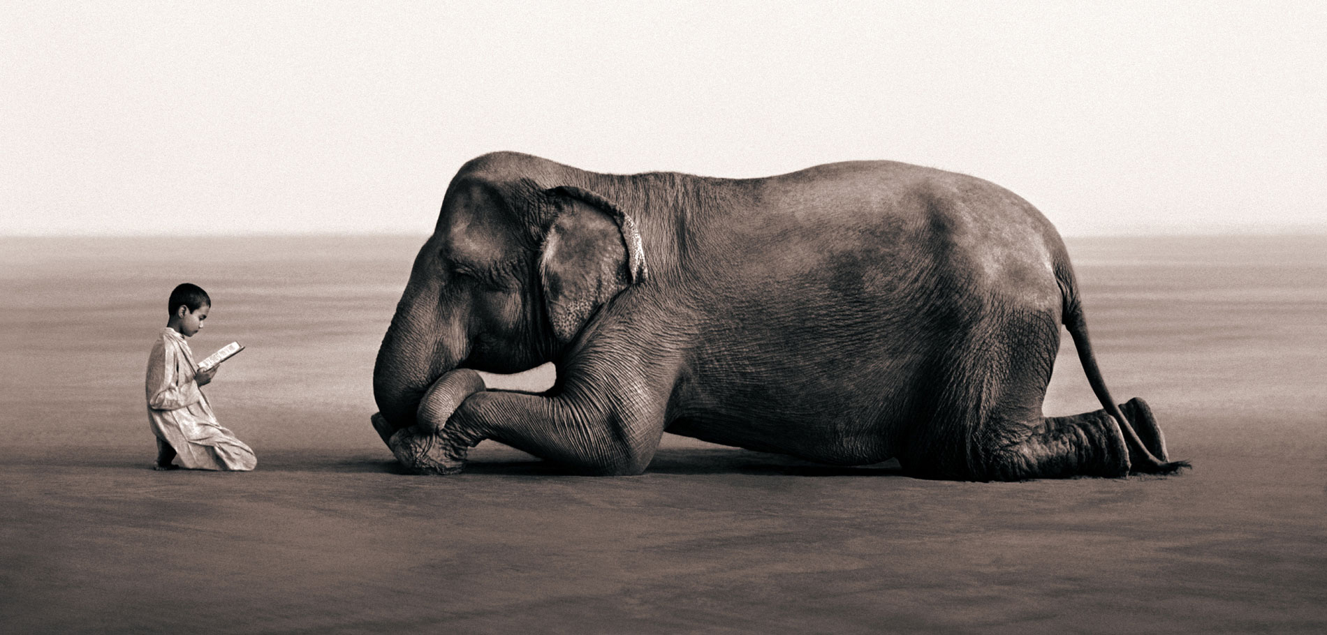 Ashes and Snow | Gregory Colbert